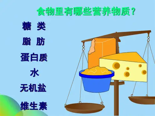 食物中的营养物质PPT课件(共25张PPT)