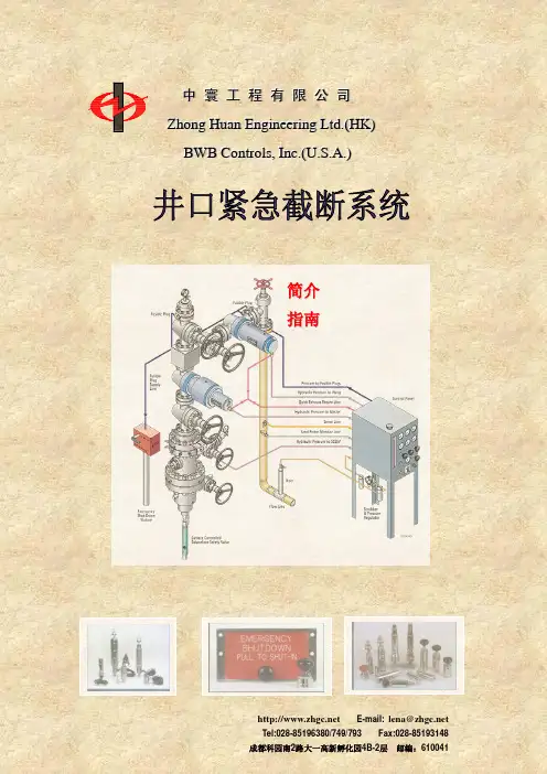 井口安全系统说明书