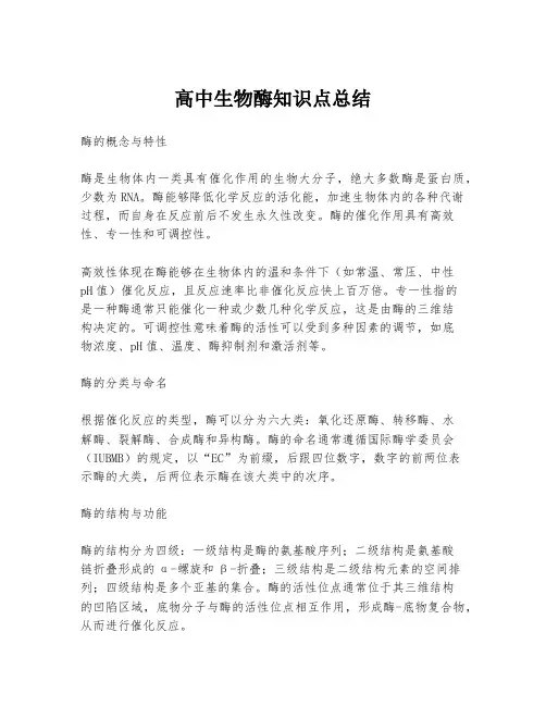 高中生物酶知识点总结