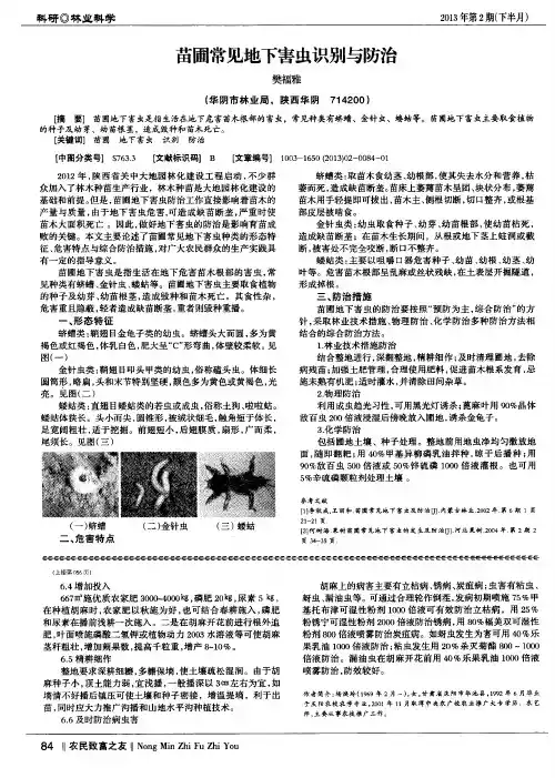 苗圃常见地下害虫识别与防治