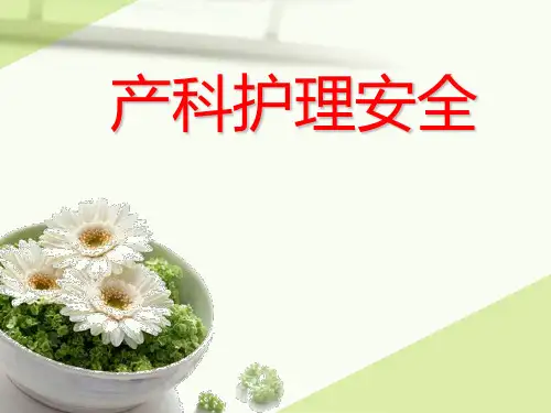 产科护理安全 PPT课件