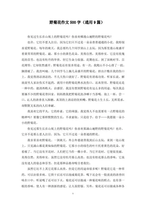 野菊花作文500字(9篇)精选范文
