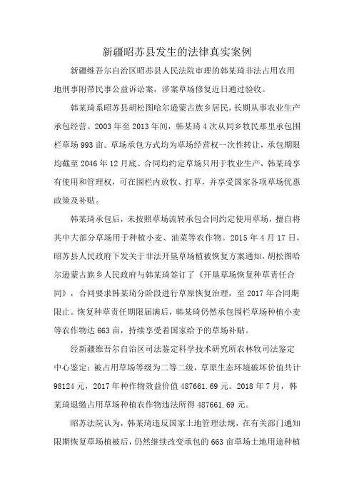 新疆昭苏县发生的法律真实案例