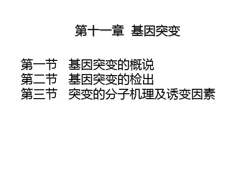 Chap11 基因突变