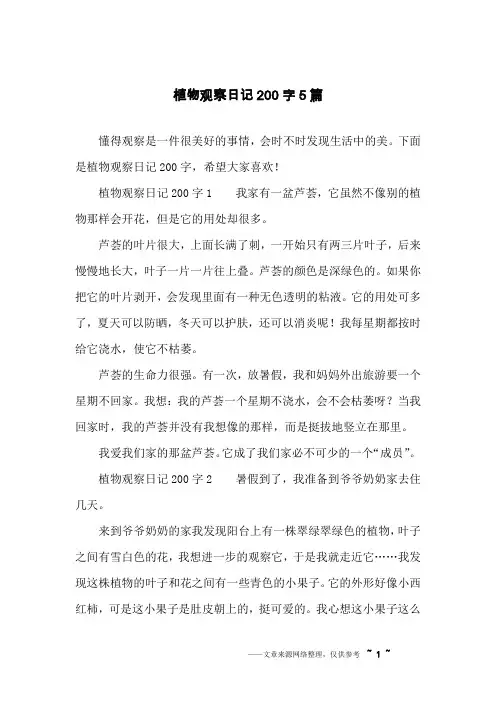 植物观察日记200字5篇