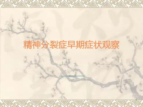 认识精神分裂症的PPT课件