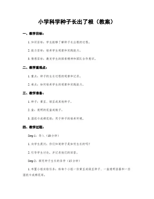 小学科学种子长出了根(教案)