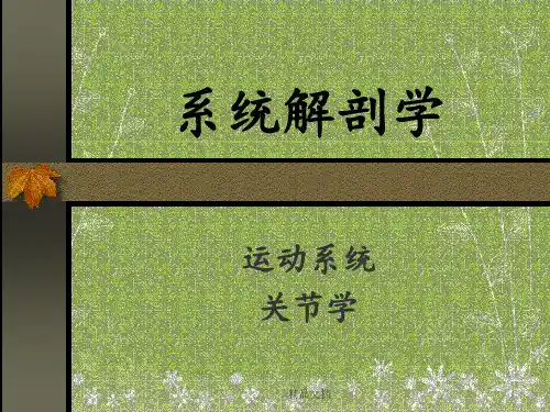 系统解剖学运动系统：关节学