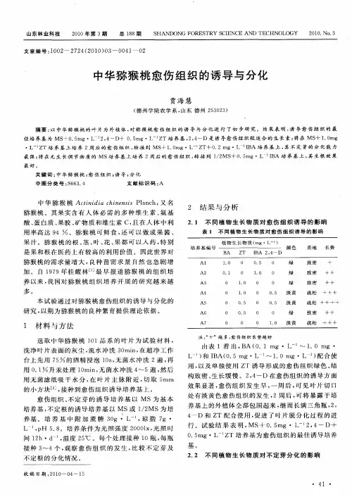 中华猕猴桃愈伤组织的诱导与分化
