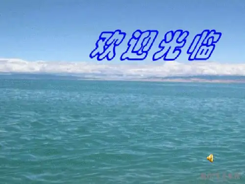 初中美术《千姿百态的水》优质教学课件