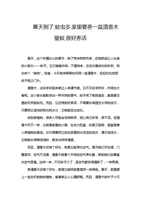 夏天到了,蚊虫多,家里要养一盆清香木驱蚊,很好养活