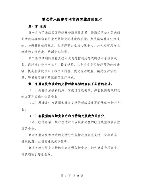 重点技术改造专项支持实施细则范本(三篇)