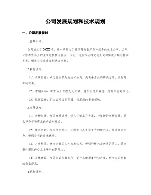 公司发展规划和技术规划