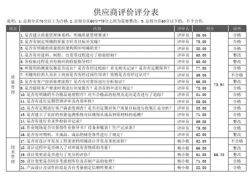 供方现场审核评分表模板