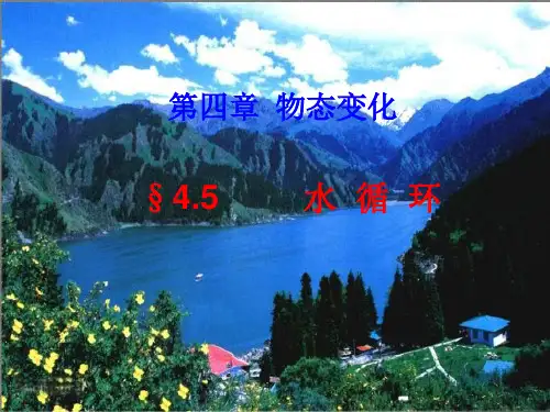 沪粤版八年级物理上册4.5 水资源与水循环课件(共27张PPT)