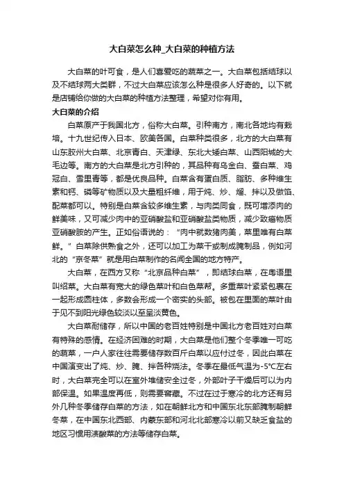 大白菜怎么种_大白菜的种植方法