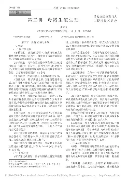 第三讲母猪生殖生理