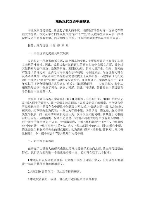 浅析现代汉语中缀现象