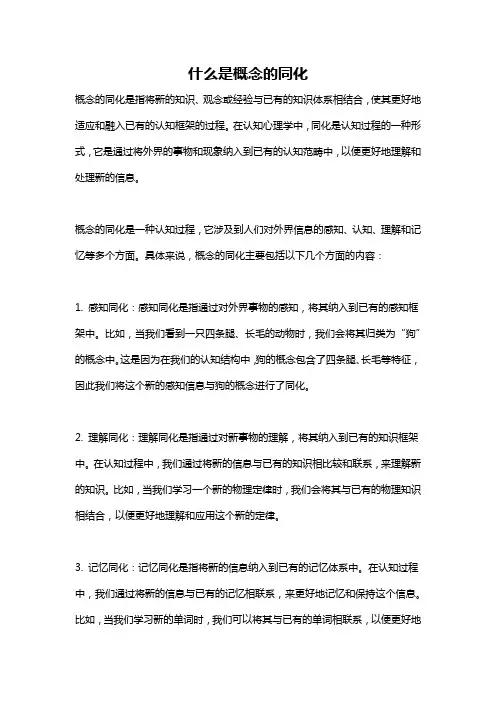 什么是概念的同化