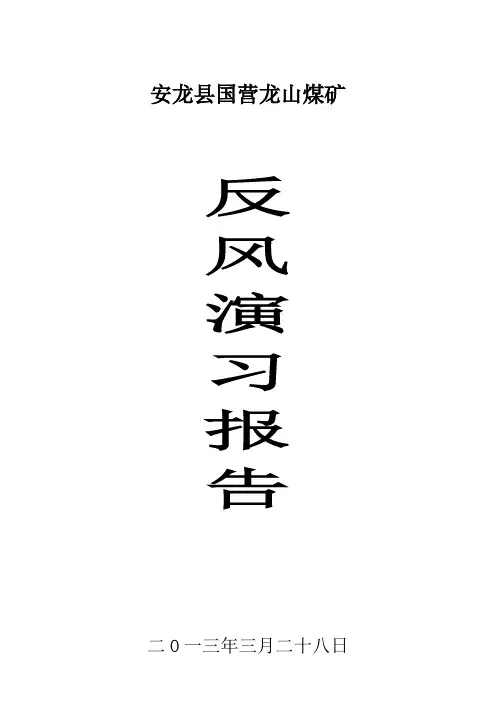 反风演习报告