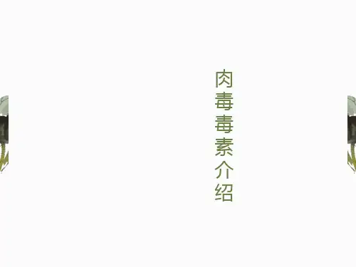 肉毒毒素基本知识