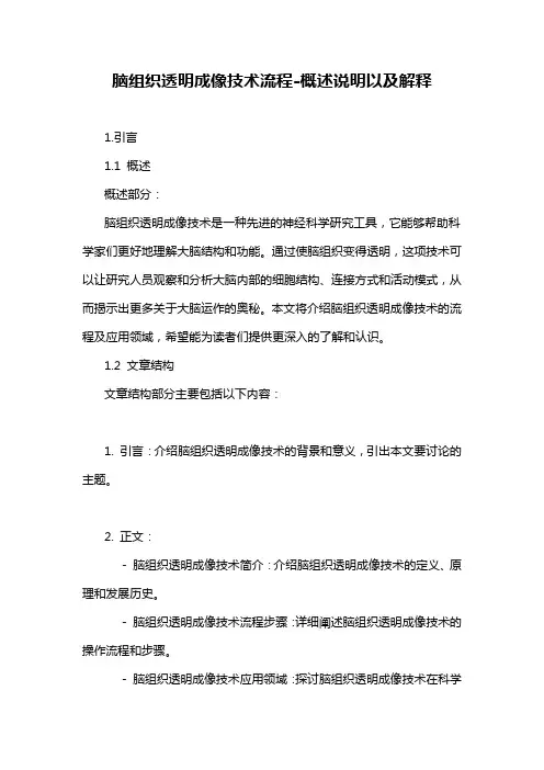 脑组织透明成像技术流程-概述说明以及解释