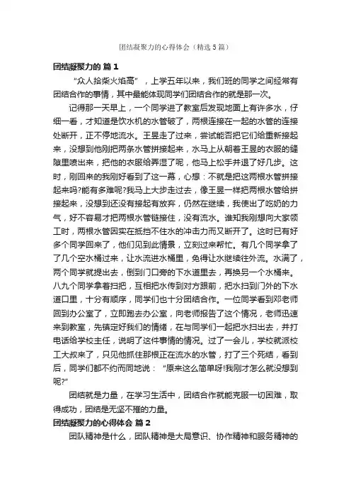 团结凝聚力的心得体会（精选5篇）
