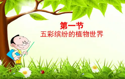  五彩缤纷的植物世界 (共77张PPT)