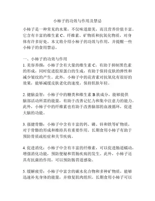 小柿子的功效与作用及禁忌