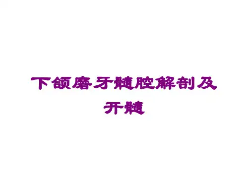 下颌磨牙髓腔解剖及开髓课件