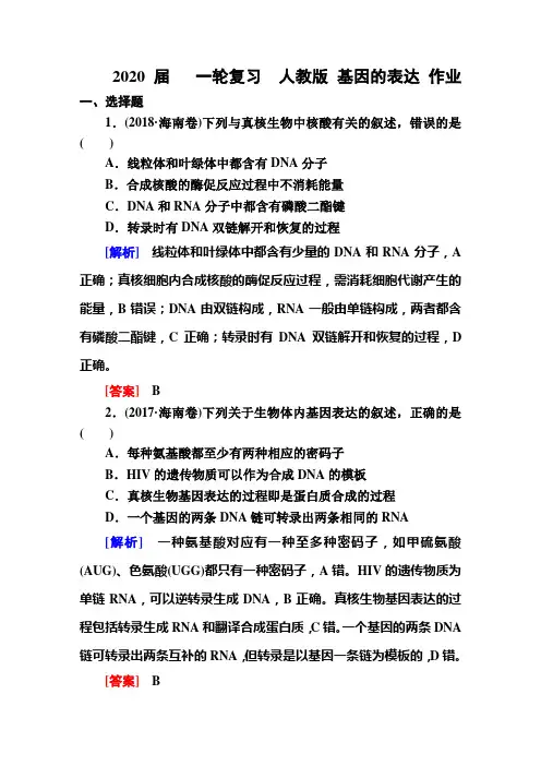 2020届高中生物一轮复习人教版基因的表达作业含答案