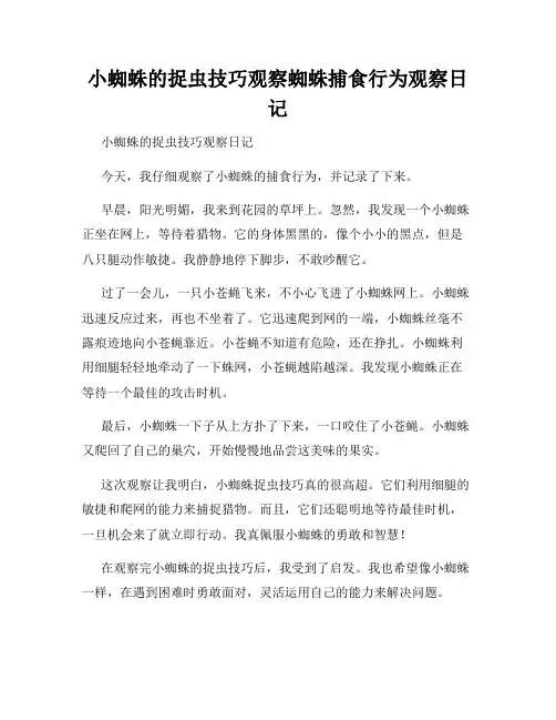  小学三年级作文小蜘蛛的捉虫技巧观察蜘蛛捕食行为观察日记