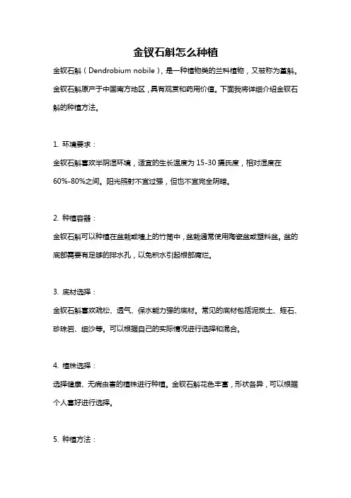 金钗石斛怎么种植