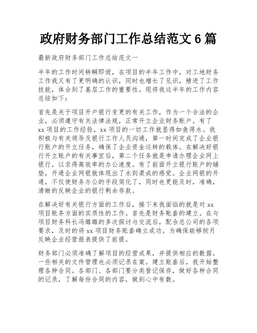 政府财务部门工作总结范文6篇