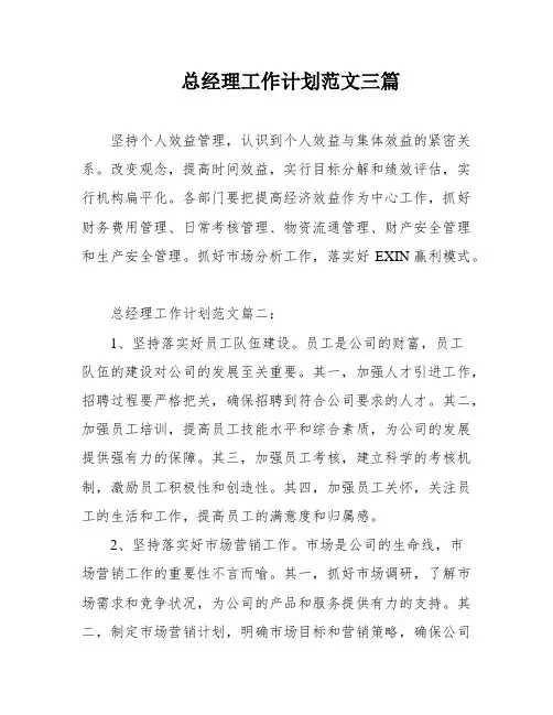 总经理工作计划范文三篇