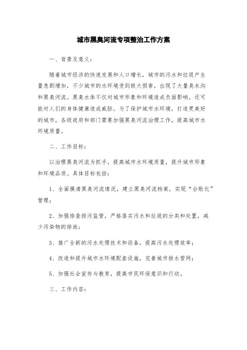 城市黑臭河流专项整治工作方案
