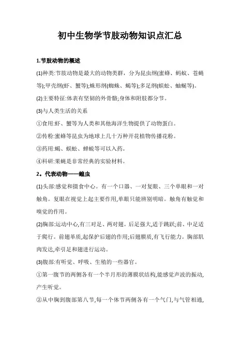 初中生物学节肢动物知识点汇总