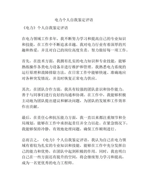 电力个人自我鉴定评语