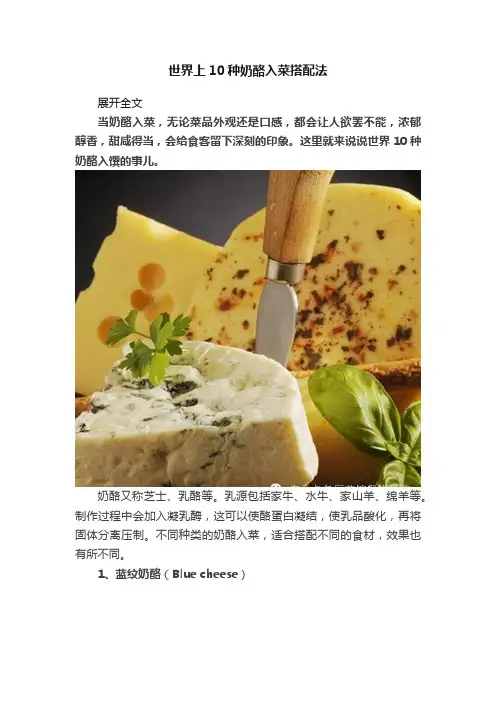 世界上10种奶酪入菜搭配法