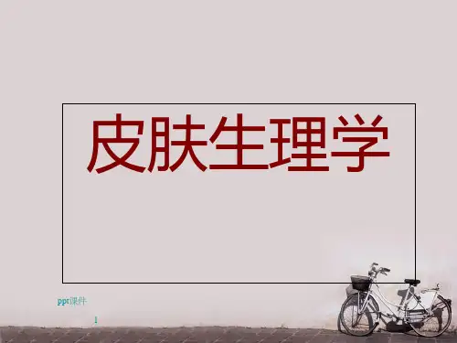 皮肤生理学  ppt课件