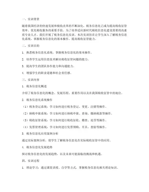 税务信息化实训报告书