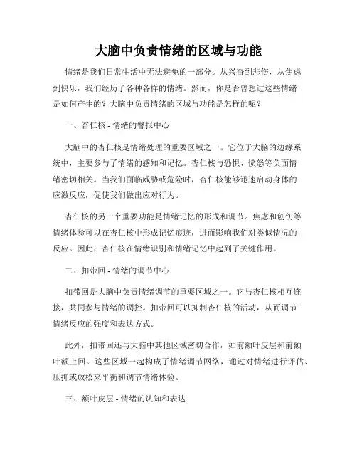大脑中负责情绪的区域与功能