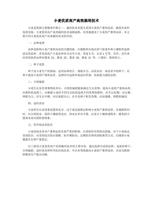 小麦优质高产高效栽培技术