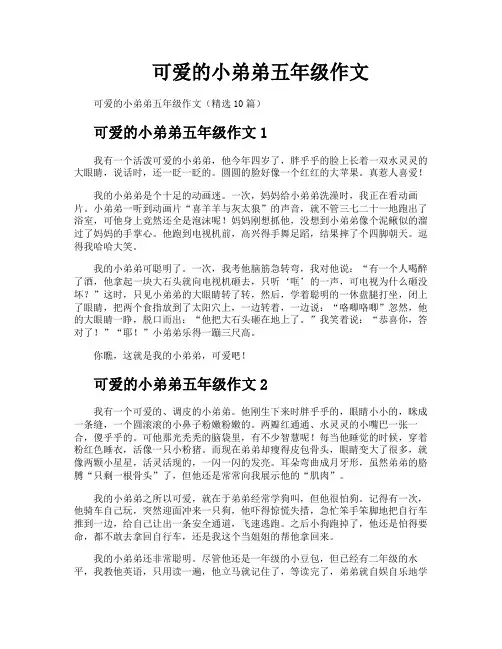 可爱的小弟弟五年级作文