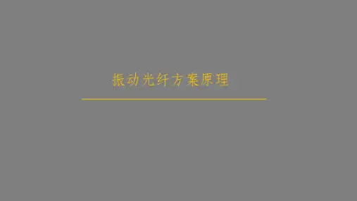 振动光纤方案原理