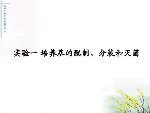 食品微生物实验ppt课件.ppt