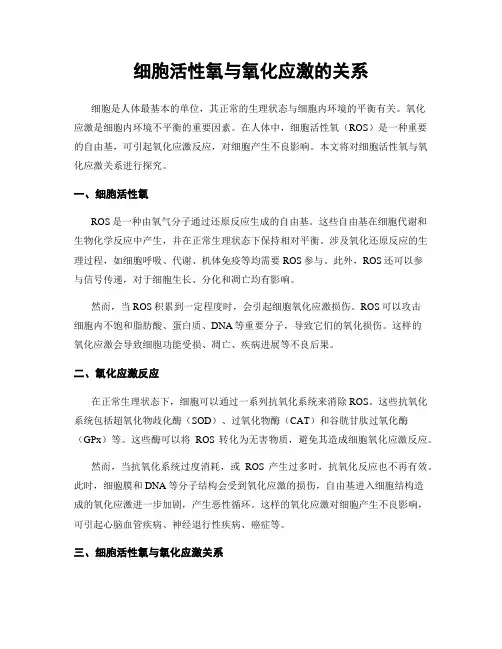 细胞活性氧与氧化应激的关系