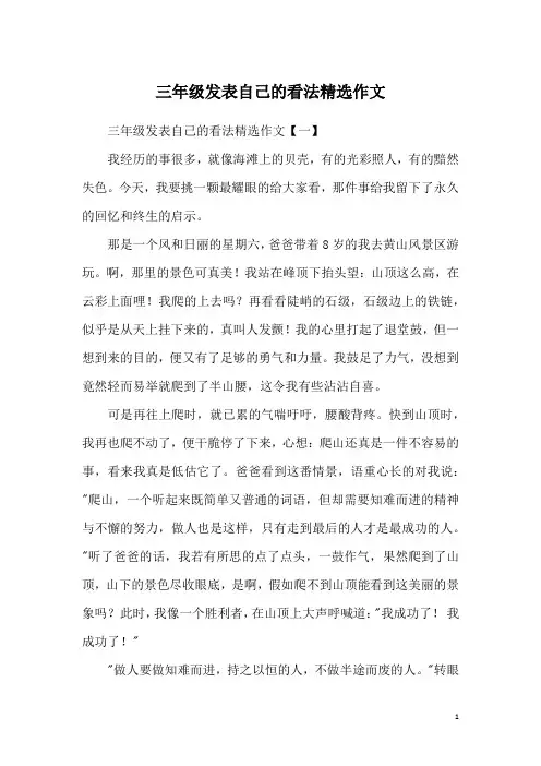 三年级发表自己的看法精选作文