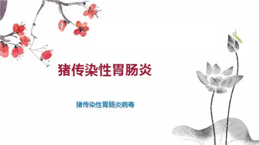 猪传染性胃肠炎