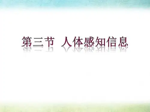 《人体的感知信息》PPT